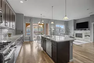 2133 Primo Road, Highlands Ranch, CO 80129 - Photo 7