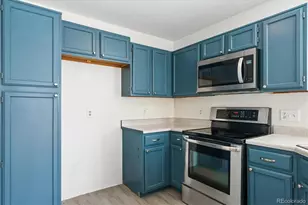 529 Chiswick Circle, Highlands Ranch, CO 80126 - Photo 7