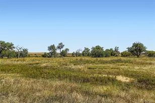 16540 Umpire St, Hudson, CO 80642 - Photo 27