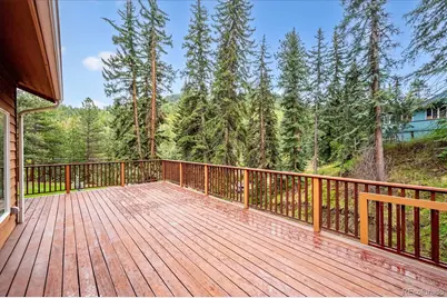 6747 S Brook Forest Road, Evergreen, CO 80439 - Photo 3
