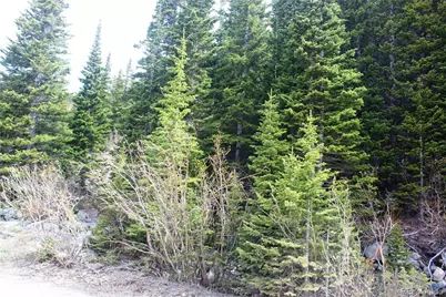 00 Mine Road, Idaho Springs, CO 80461 - Photo 3