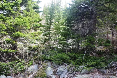 00 Mine Road, Idaho Springs, CO 80461 - Photo 5