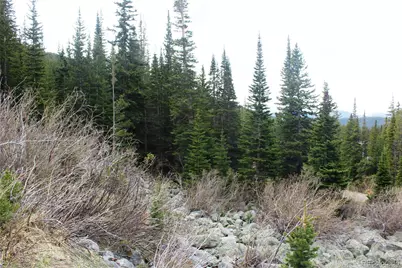 00 Mine Road, Idaho Springs, CO 80461 - Photo 23