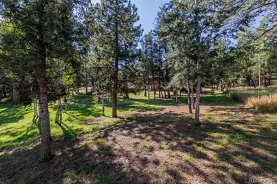 1462 Burland Drive, Bailey, CO 80421 - Photo 39