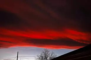 1547 Secrest Ct, Golden, CO 80401 - Photo 47