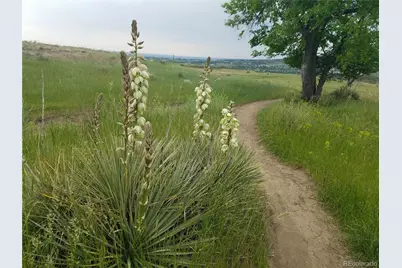 1547 Secrest Court, Golden, CO 80401 - Photo 41