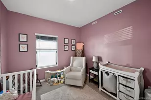 3042 Nectar St, Strasburg, CO 80136 - Photo 25