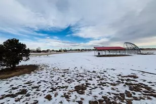 3042 Nectar St, Strasburg, CO 80136 - Photo 33