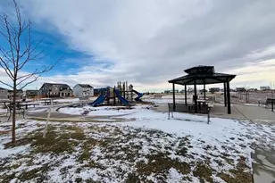 3042 Nectar St, Strasburg, CO 80136 - Photo 33