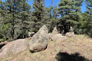 54 Oak Dr, Cotopaxi, CO 81223 - Photo 39
