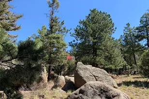54 Oak Dr, Cotopaxi, CO 81223 - Photo 41
