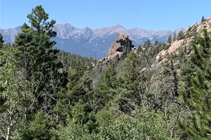 54 Oak Dr, Cotopaxi, CO 81223 - Photo 3