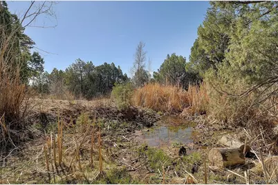 12500 County Road 258A, Salida, CO 81201 - Photo 49