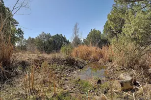 12500 County Rd 258A, Salida, CO 81201 - Photo 49