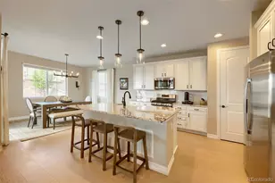 1033 Oleander St, Castle Rock, CO 80109 - Photo 9