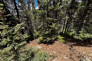 00 Forbes Rd, Fort Garland, CO 81133 - Photo 1