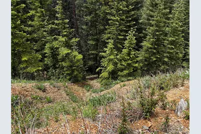 00 Forbes Rd, Fort Garland, CO 81133 - Photo 9