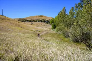 168 S Holman Way, Golden, CO 80401 - Photo 27