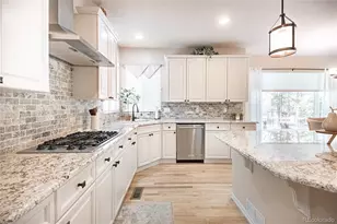 1000 Cochetopa Dr, Larkspur, CO 80118 - Photo 19