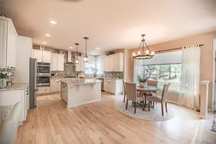 1000 Cochetopa Dr, Larkspur, CO 80118 - Photo 17