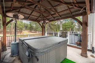 1000 Cochetopa Dr, Larkspur, CO 80118 - Photo 47