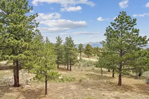 30460 Mountainside Dr, Buena Vista, CO 81211 - Photo 37