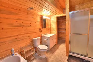 246 Mount Guyot Cir, Jefferson, CO 80456 - Photo 19