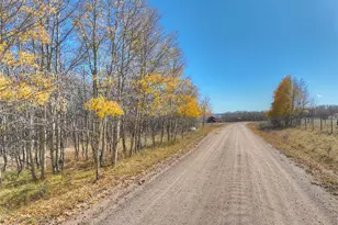 246 Mount Guyot Cir, Jefferson, CO 80456 - Photo 39