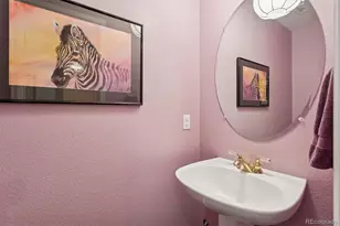 1294 Braewood Ave, Highlands Ranch, CO 80129 - Photo 15