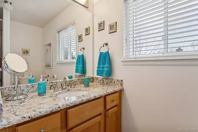 1294 Braewood Avenue, Highlands Ranch, CO 80129 - Photo 21