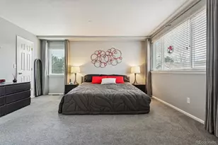 1294 Braewood Ave, Highlands Ranch, CO 80129 - Photo 17