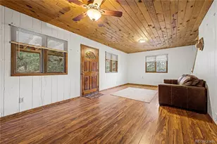 145 Bailey Dr, Bailey, CO 80421 - Photo 5