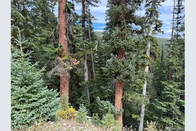 0605 Cr 805, Breckenridge, CO 80424 - Photo 5