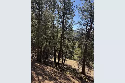 1440 Pikes Peak Drive, Divide, CO 80814 - Photo 1