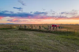 43777 Private Rd 39, Elizabeth, CO 80107 - Photo 3