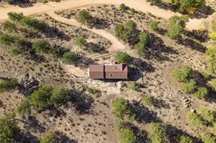 349 W Cline Dr, Shawnee, CO 80475 - Photo 43
