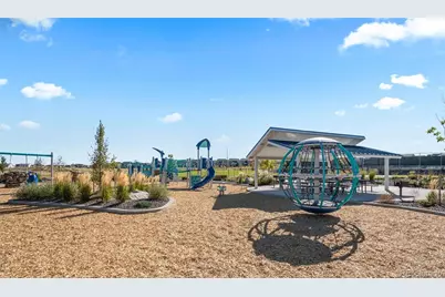 14075 Scarlet Sage Street, Parker, CO 80134 - Photo 43