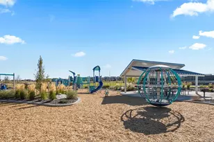 14075 Scarlet Sage St, Parker, CO 80134 - Photo 43