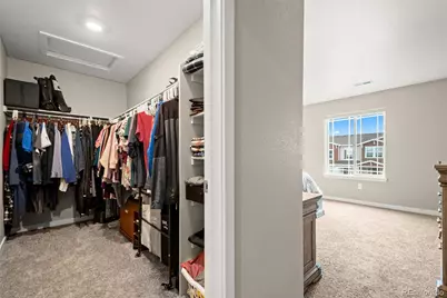 14075 Scarlet Sage Street, Parker, CO 80134 - Photo 31