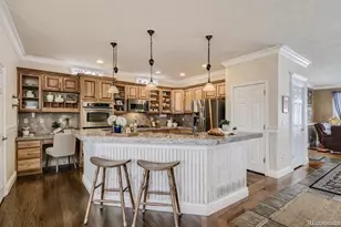 11310 Night Heron Dr, Parker, CO 80134 - Photo 5