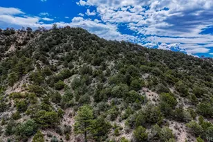 8966 Hanging Tree Dr, Salida, CO 81201 - Photo 47