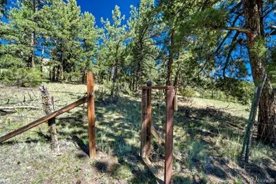 189 Saddle Lane, Lake George, CO 80827 - Photo 7