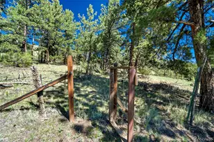 189 Saddle Ln, Lake George, CO 80827 - Photo 7