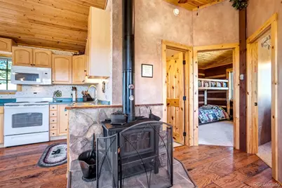 189 Saddle Lane, Lake George, CO 80827 - Photo 21