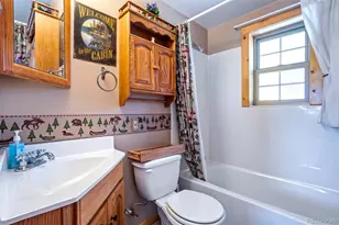 189 Saddle Ln, Lake George, CO 80827 - Photo 19