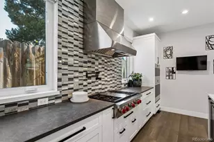 966 St Paul St, Denver, CO 80206 - Photo 19