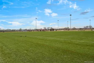 12820 Cherry Way, Thornton, CO 80241 - Photo 37