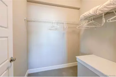 6602 Mentha Drive, Castle Rock, CO 80108 - Photo 39