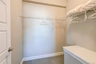 6602 Mentha Dr, Castle Rock, CO 80108 - Photo 39