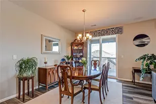 6602 Mentha Dr, Castle Rock, CO 80108 - Photo 11